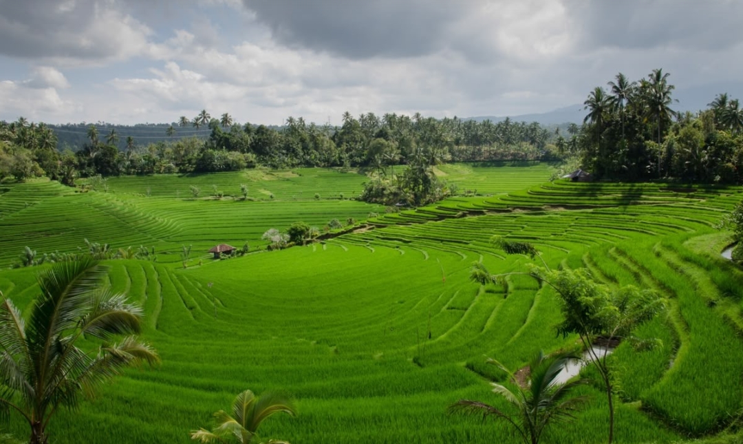 Lampaui Target, LP2B Capai 87,63% di Momen Peringatan 66 Tahun UUPA